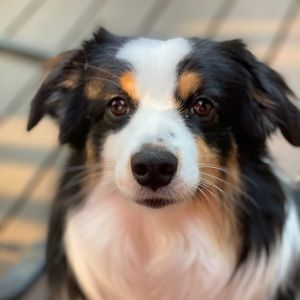 Meet your Posher, Annemarie